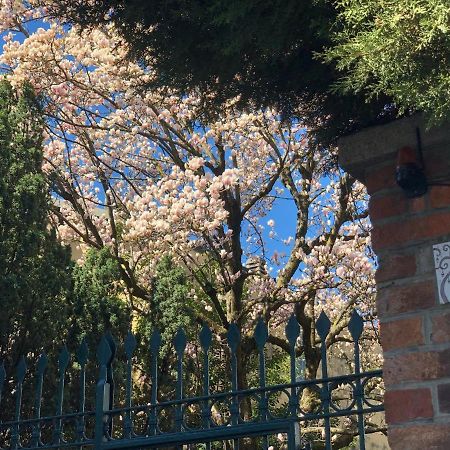 Apartament Casa Di Aristide Erba Zewnętrze zdjęcie